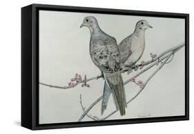 Two Birds on Branch-Rusty Frentner-Framed Stretched Canvas