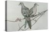 Two Birds on Branch-Rusty Frentner-Stretched Canvas