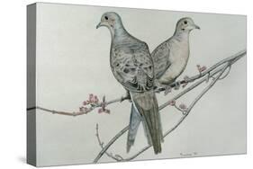 Two Birds on Branch-Rusty Frentner-Stretched Canvas