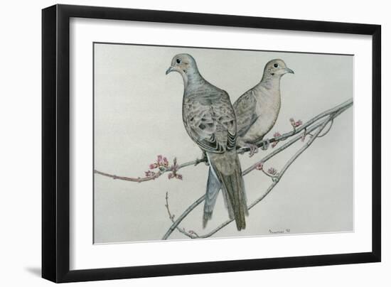 Two Birds on Branch-Rusty Frentner-Framed Giclee Print