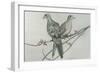 Two Birds on Branch-Rusty Frentner-Framed Giclee Print