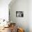 Two Birman Cats Sitting on Furniture, Interacting-Adriano Bacchella-Photographic Print displayed on a wall