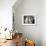Two Birman Cats Sitting on Furniture, Interacting-Adriano Bacchella-Framed Photographic Print displayed on a wall