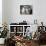 Two Birman Cats Sitting on Furniture, Interacting-Adriano Bacchella-Photographic Print displayed on a wall