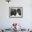 Two Bison Bulls Facing Off, Yellowstone National Park, Wyoming, USA-James Hager-Framed Photographic Print displayed on a wall