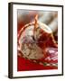 Two Bistro Salamis, with Slices Cut-Richard Sprang-Framed Photographic Print