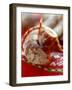 Two Bistro Salamis, with Slices Cut-Richard Sprang-Framed Photographic Print