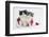 Two Black-And-White and Grey-And-White Kittens in a Father Christmas Hat-Mark Taylor-Framed Photographic Print