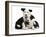 Two Black-And-White Border Collie Puppies-Mark Taylor-Framed Photographic Print