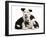 Two Black-And-White Border Collie Puppies-Mark Taylor-Framed Photographic Print