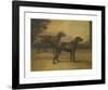 Two Black Labradors-Maud Earl-Framed Premium Giclee Print