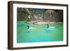 Two Black-Necked Swans-anytka-Framed Photographic Print