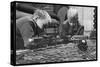 Two Blond Boys are Absorbed by Their Model Train Set-null-Stretched Canvas