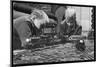 Two Blond Boys are Absorbed by Their Model Train Set-null-Mounted Art Print