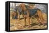 Two Bloodhounds Standing-Louis Agassiz Fuertes-Framed Stretched Canvas