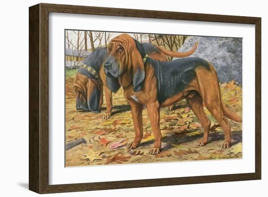 Two Bloodhounds Standing-Louis Agassiz Fuertes-Framed Art Print