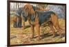 Two Bloodhounds Standing-Louis Agassiz Fuertes-Framed Art Print