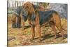 Two Bloodhounds Standing-Louis Agassiz Fuertes-Stretched Canvas