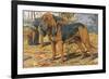 Two Bloodhounds Standing-Louis Agassiz Fuertes-Framed Premium Giclee Print