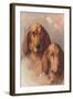 Two Bloodhounds-null-Framed Art Print
