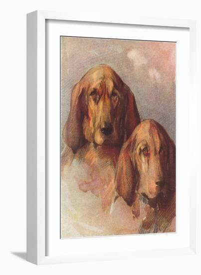 Two Bloodhounds-null-Framed Art Print