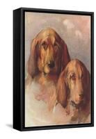 Two Bloodhounds-null-Framed Stretched Canvas