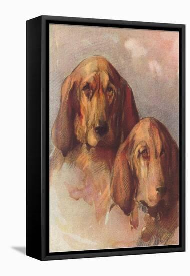 Two Bloodhounds-null-Framed Stretched Canvas