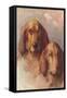 Two Bloodhounds-null-Framed Stretched Canvas