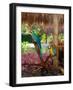 Two Blue and Gold Macaws Perched Under Thatched Roof-Lisa S. Engelbrecht-Framed Photographic Print