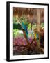 Two Blue and Gold Macaws Perched Under Thatched Roof-Lisa S. Engelbrecht-Framed Photographic Print