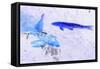 Two Blue Fish-Tom Kelly-Framed Stretched Canvas