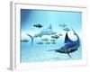 Two Blue Marlins Circle a School of Fish in Ocean Waters-Stocktrek Images-Framed Photographic Print