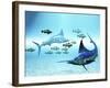 Two Blue Marlins Circle a School of Fish in Ocean Waters-Stocktrek Images-Framed Photographic Print