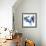 Two blue tulips-Hiroyuki Izutsu-Framed Giclee Print displayed on a wall