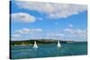 Two Boats In Sydney, 2016-null-Stretched Canvas