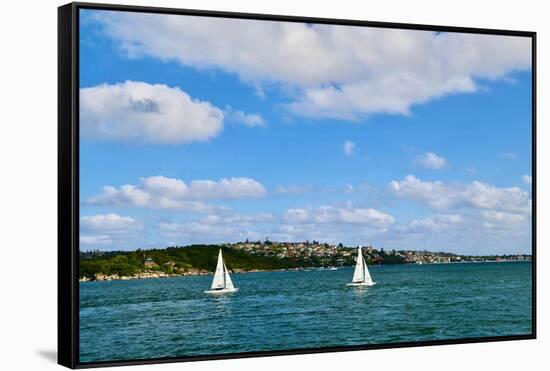 Two Boats In Sydney, 2016-null-Framed Stretched Canvas