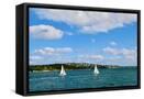 Framed Canvas
