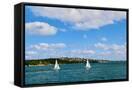 Canvas Black