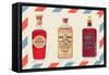 Two Bottles of Hair Tonic and One Bottle of Dandruff Remover-null-Framed Stretched Canvas