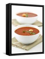 Two Bowls of Tomato Soup-Matt Johannsson-Framed Stretched Canvas