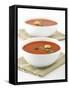 Two Bowls of Tomato Soup-Matt Johannsson-Framed Stretched Canvas