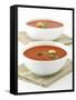 Two Bowls of Tomato Soup-Matt Johannsson-Framed Stretched Canvas