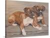 Two Boxer Dogs-Janet Pidoux-Stretched Canvas