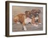 Two Boxer Dogs-Janet Pidoux-Framed Premium Giclee Print