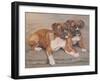 Two Boxer Dogs-Janet Pidoux-Framed Premium Giclee Print