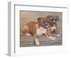 Two Boxer Dogs-Janet Pidoux-Framed Giclee Print