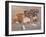 Two Boxer Dogs-Janet Pidoux-Framed Giclee Print