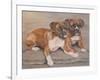 Two Boxer Dogs-Janet Pidoux-Framed Giclee Print