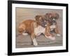 Two Boxer Dogs-Janet Pidoux-Framed Giclee Print