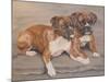 Two Boxer Dogs-Janet Pidoux-Mounted Giclee Print